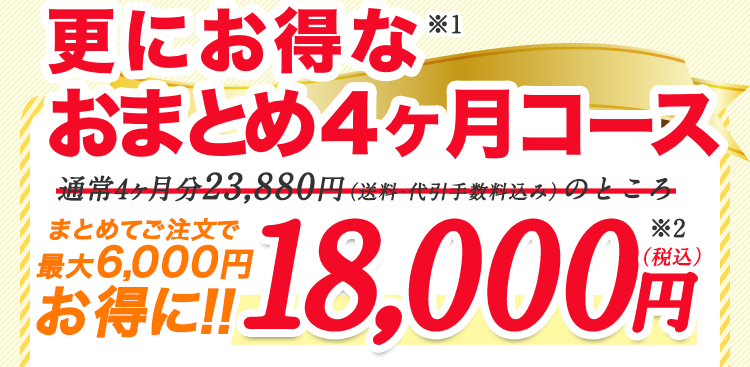 おまとめ4ヶ月コース