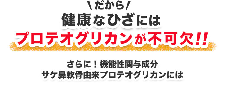 だから健康なひざにはプロテオグリカンが不可欠