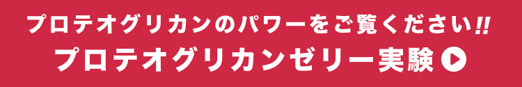 プロテオグリカンのパワーを御覧ください！！プロテオグリカンゼリー実験