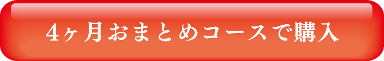 4ヶ月おまとめコースで購入