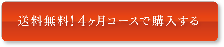 4ヶ月おまとめコースで購入