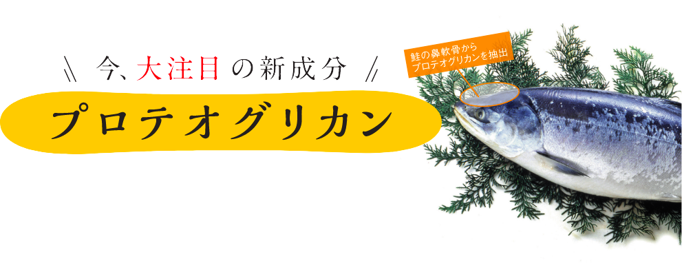 今、大注目の新成分 プロテオグリカン｜鮭の鼻軟骨からプロテオグリカンを抽出