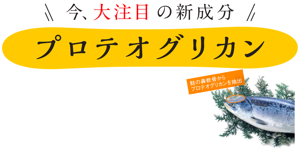 今、大注目の新成分 プロテオグリカン｜鮭の鼻軟骨からプロテオグリカンを抽出